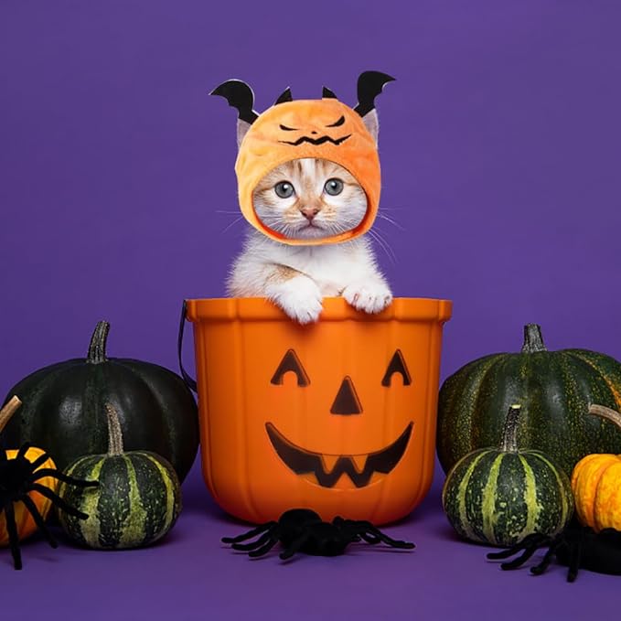 Cute Cat Dress Up As A Cat For Halloween Nurse Cat Costumes Hat