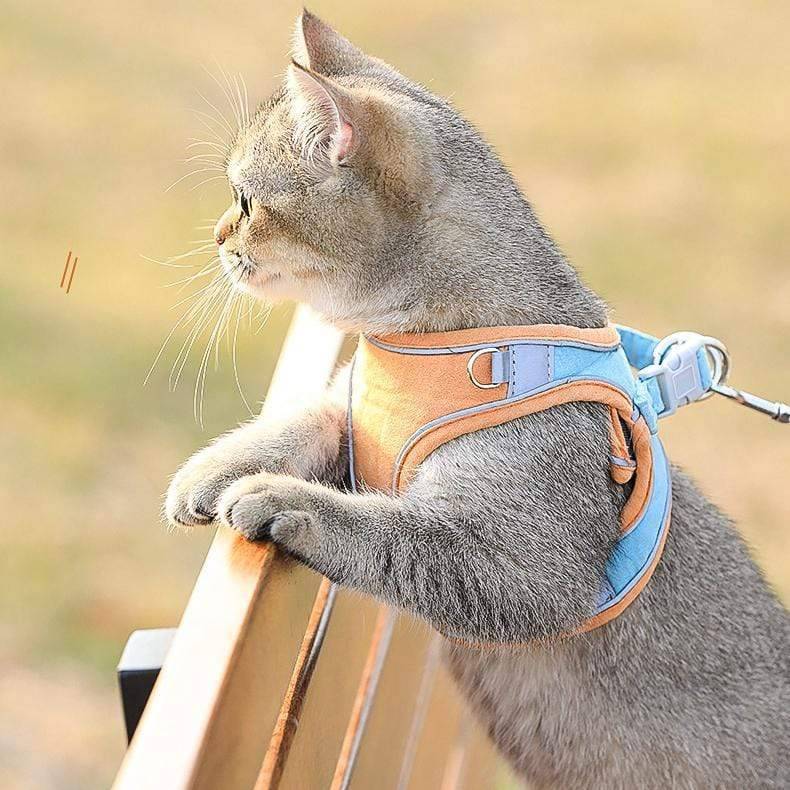 Outdoor Cat Harness Leash Set – Cat Cave Co - Main Image