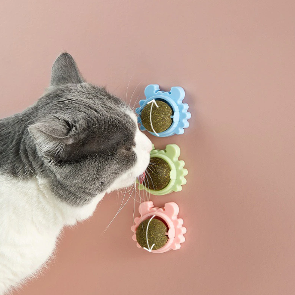 Catnip ball sales