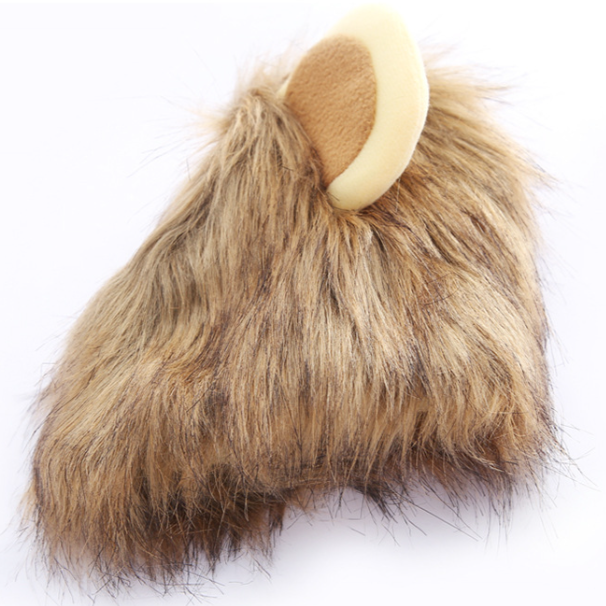 Cat Costume for Halloween (Lion Mane)