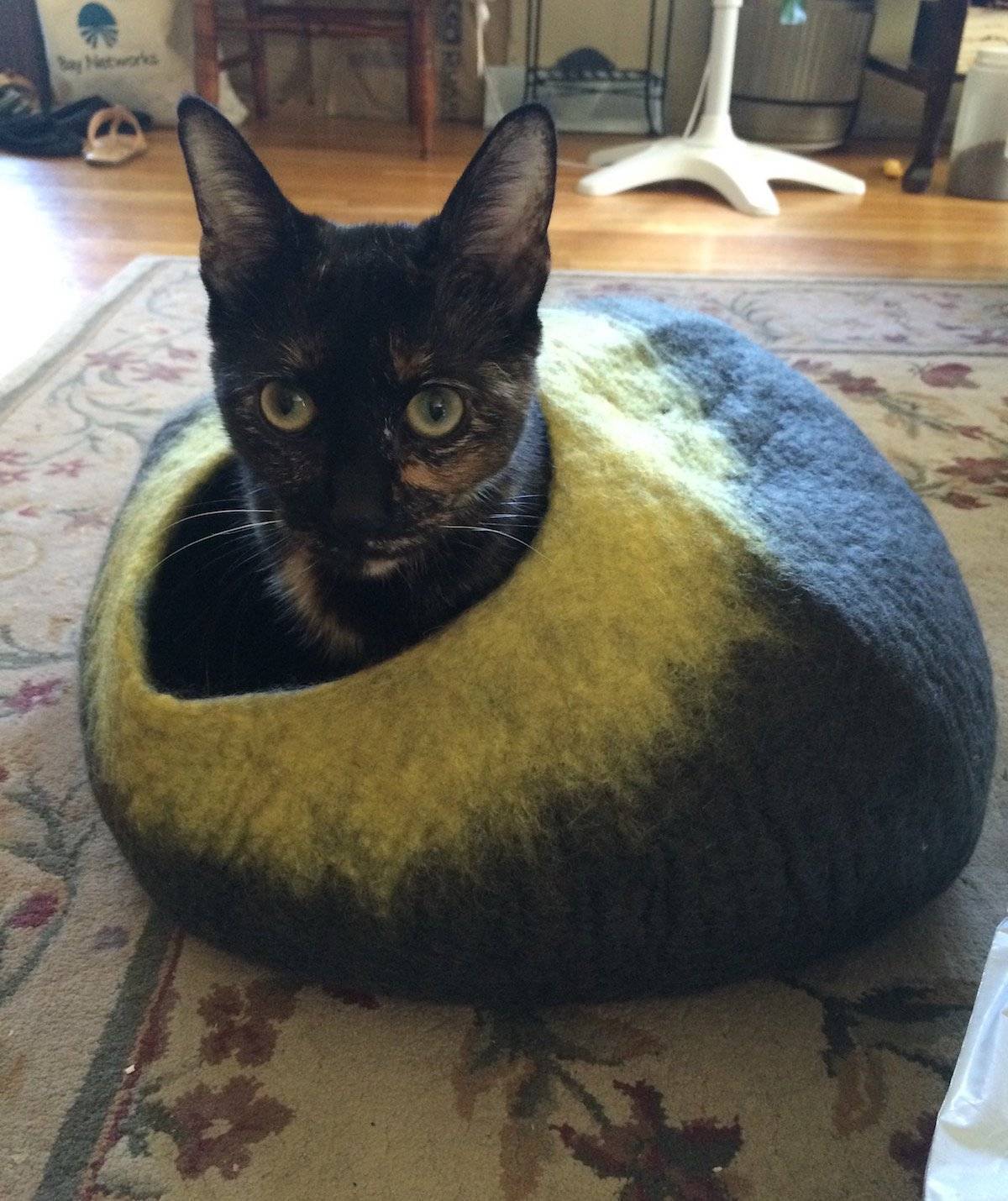 Yellow & Grey Cat Cave