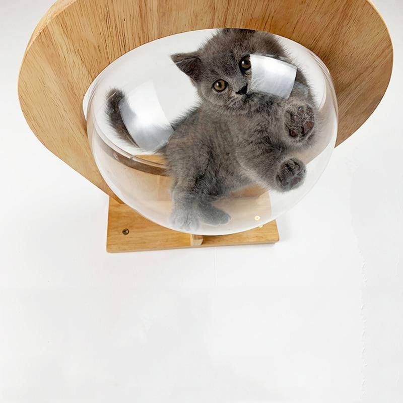 Floating Bubble | Cat Wall Furniture