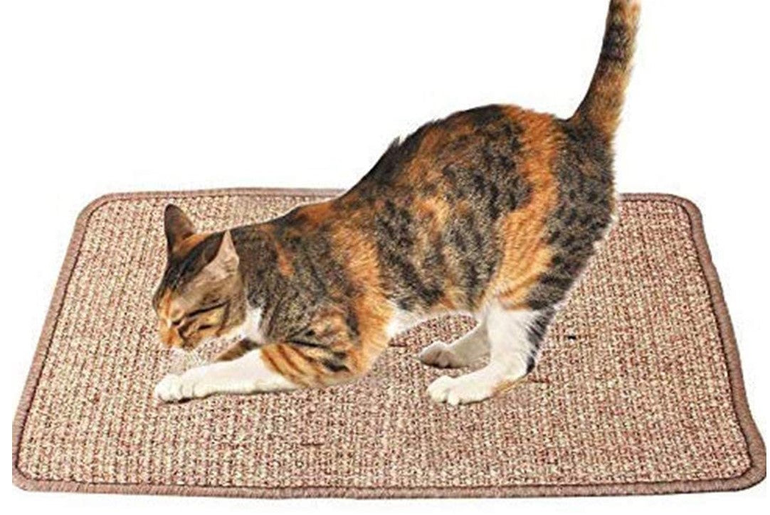 Cat Destroying Your Furniture? Never Again!