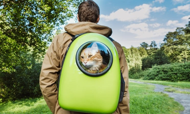 cat mini dome backpack PETKIT Pet Carrier Breezy 2 breathable cat backpack will follow you on all of lifes adventures Space Dome Travel Cat Backpack