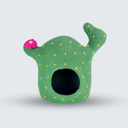 3D Cactus Cat Cave