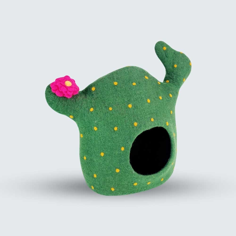 3D Cactus Cat Cave