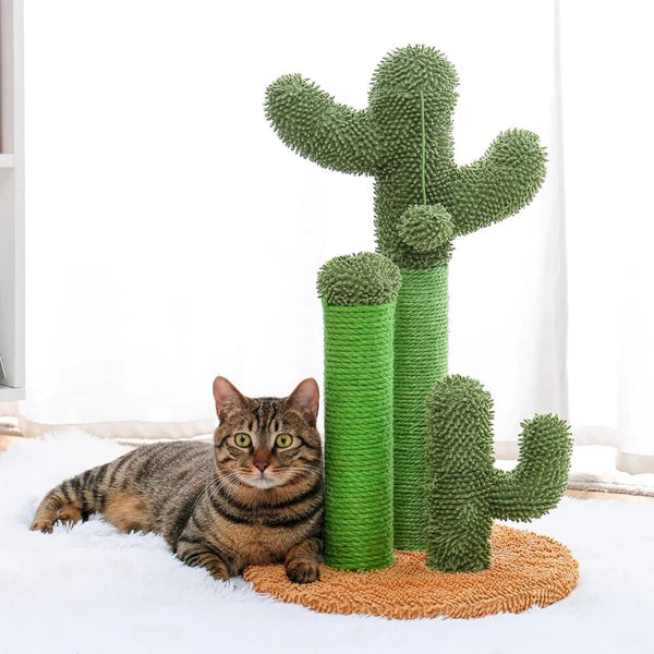 Cactus Scratch Post