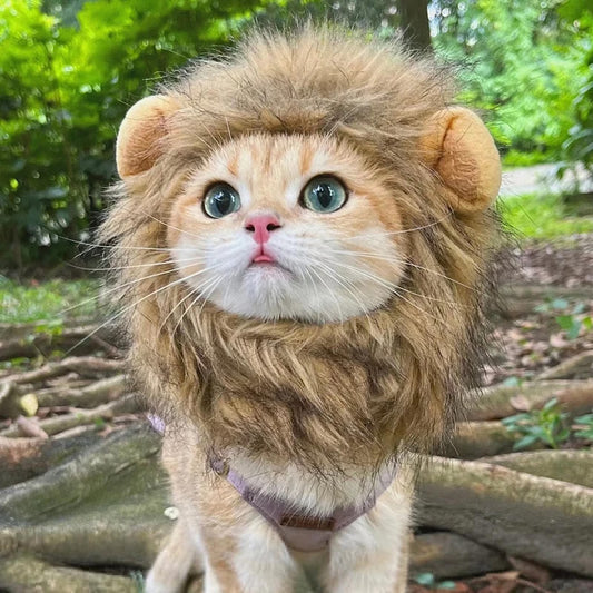 Cat Costume for Halloween (Lion Mane)