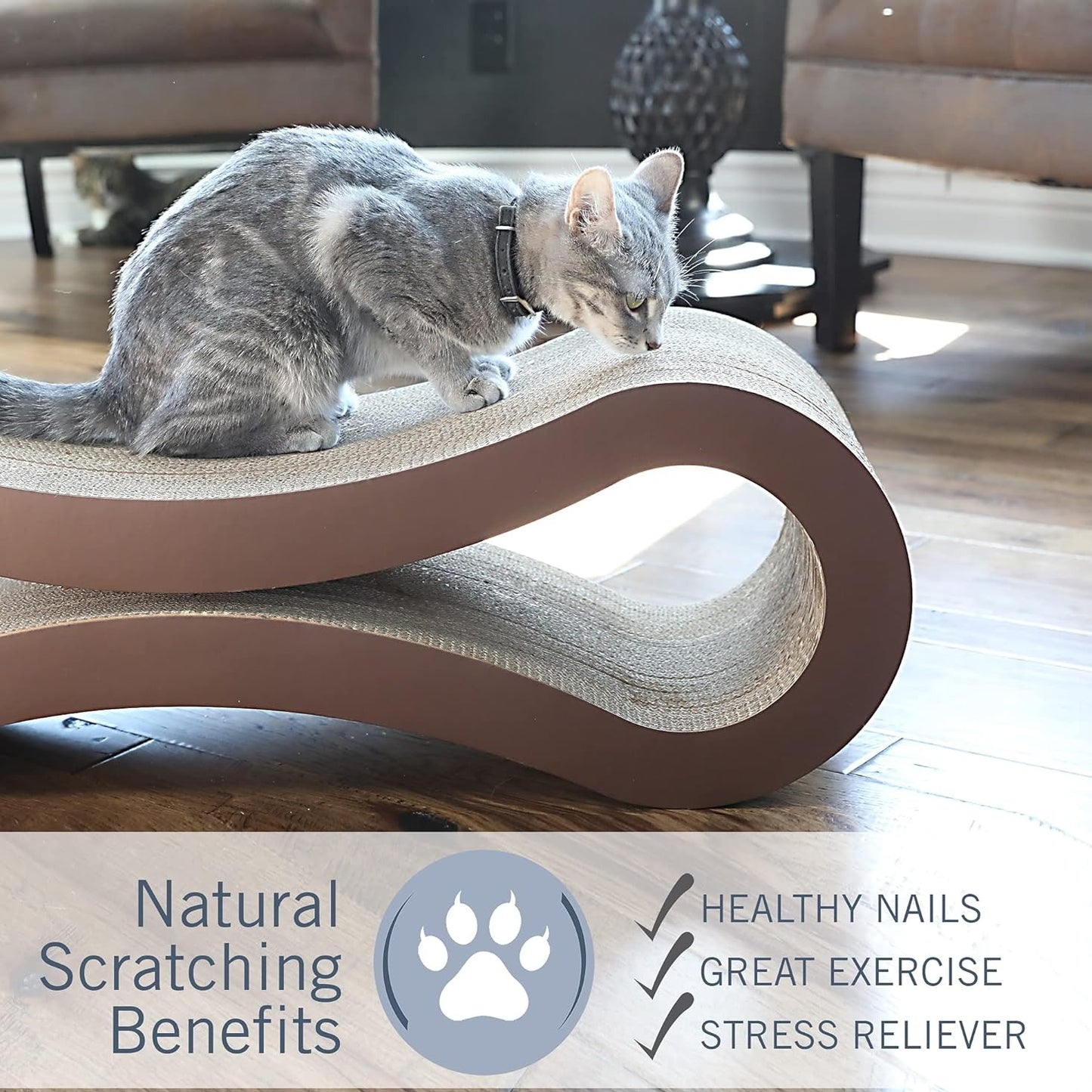 Premium Cat Scratcher | Cat Toys