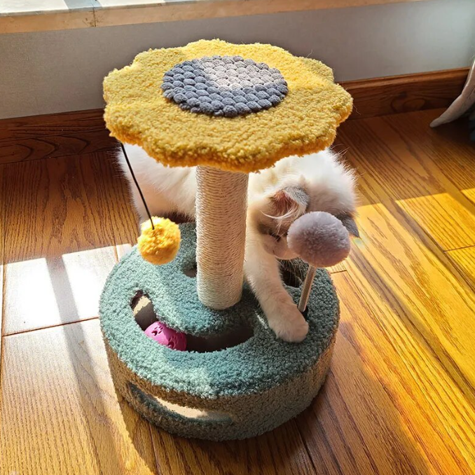 Cute Cat Scratch Post| Cat Toy