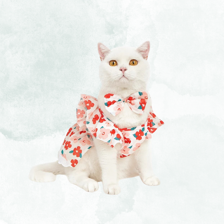 Cat Clothes, Sweaters & Costumes For Cats Cat Cave Co