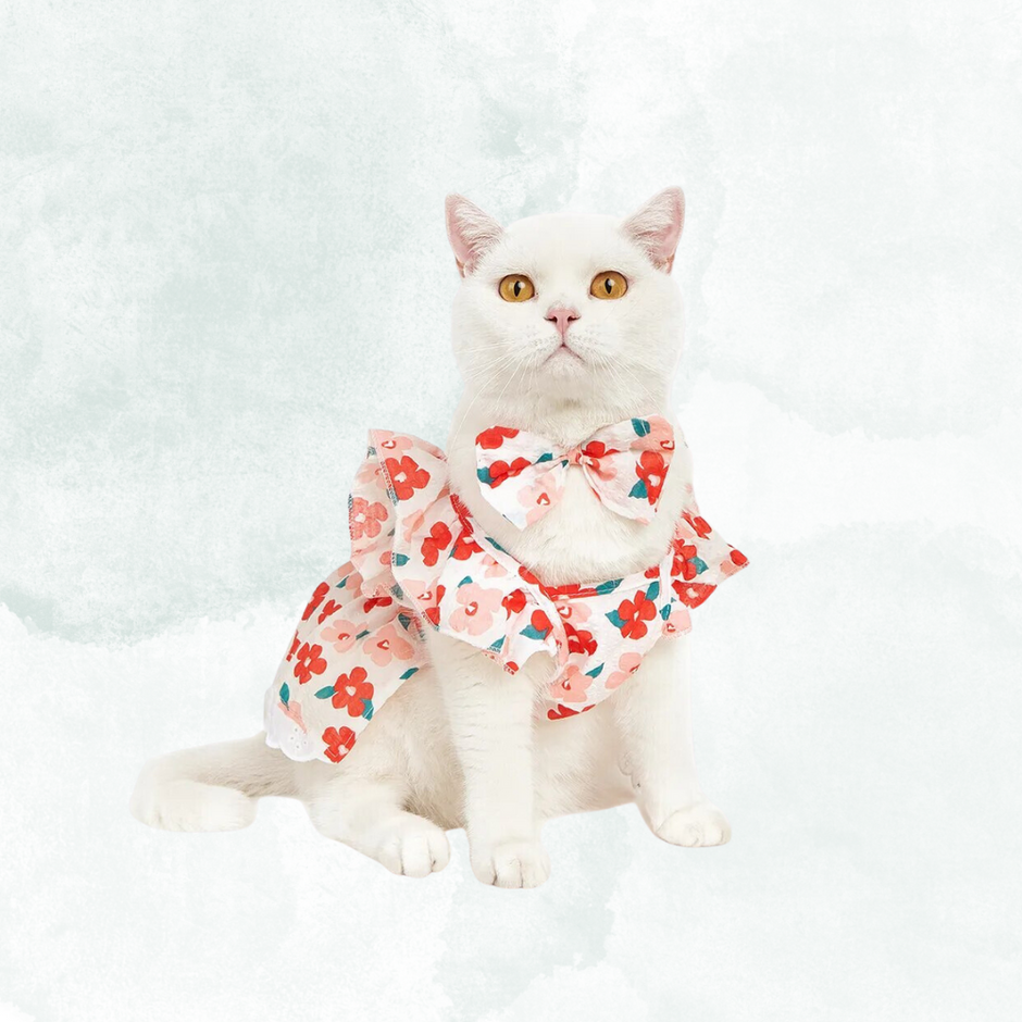 Cat Clothes, Sweaters & Costumes For Cats Cat Cave Co