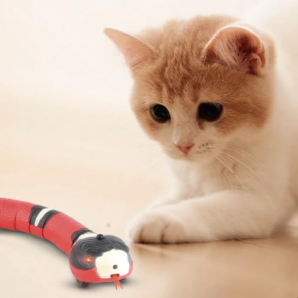 KONG Snake Teaser Cat Toy 