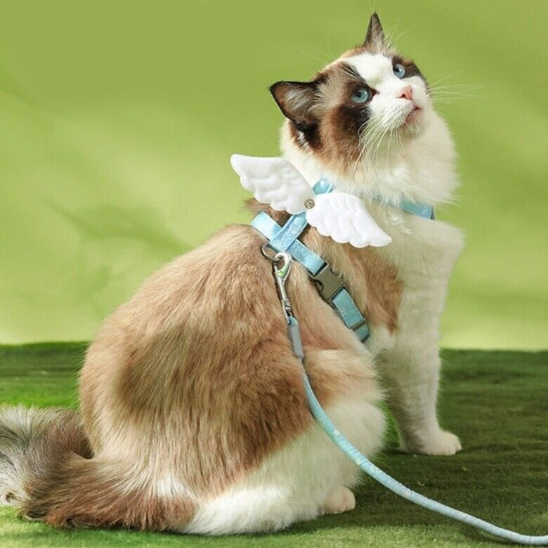 Sweet Angel Wings Cat Harness | Cat Harness