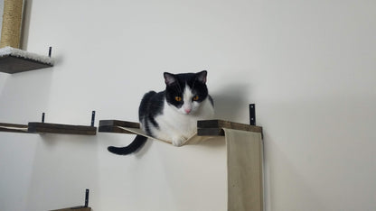 Cat Hammock | Cat Wall Furniture
