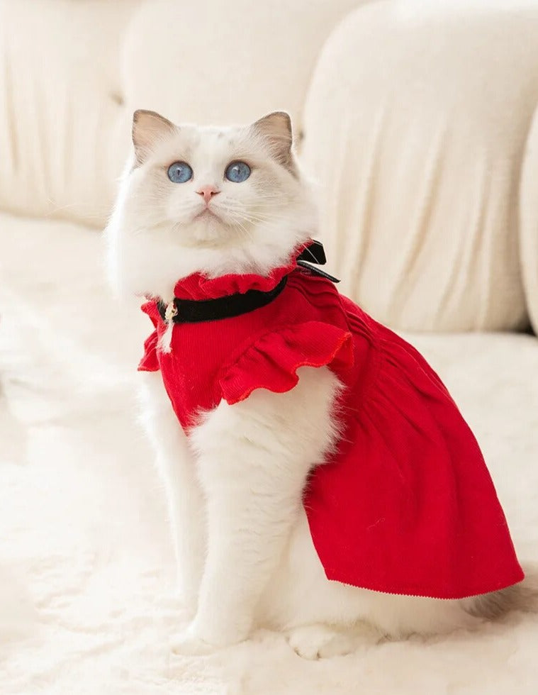 Cat print 2024 christmas dress