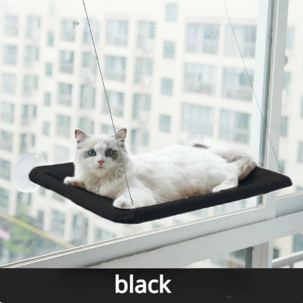 Hanging Cat Bed w/ Suction | Cat Hammock