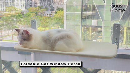 Foldable Hanging Cat Perch w/ Suction | Cat Hammock