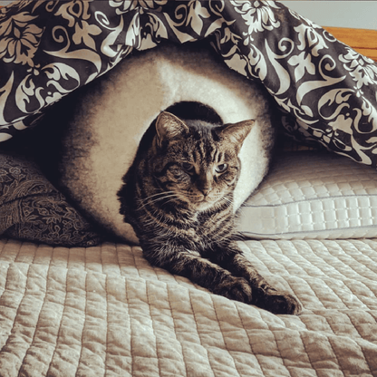 Original Cat Cave