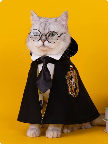 Cat Wizard Costume | Cat Clothing