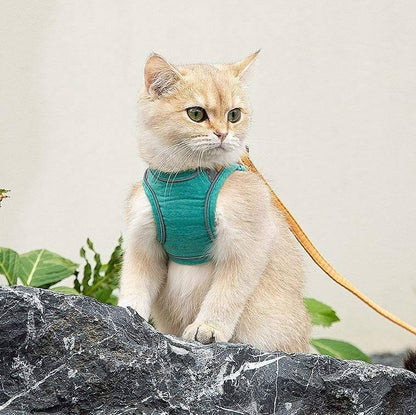 Outdoor Cat Harness & Leash Set