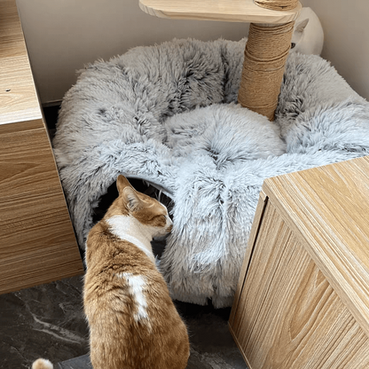 2-in-1 Round Cat Tunnel Bed | Cat Bed