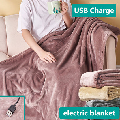 Heated Electric Blanket For Pets & Hoomans