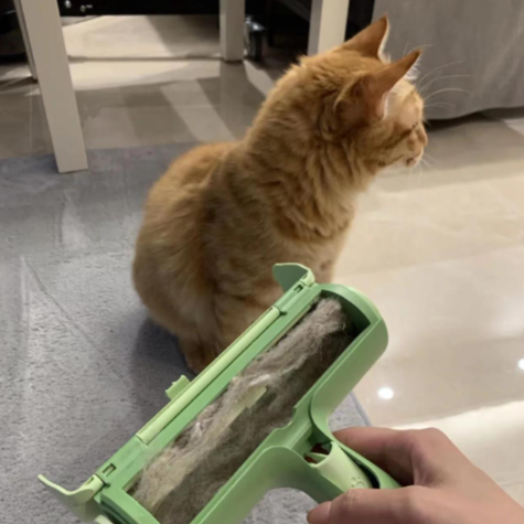 Cat Hair Removal Roller