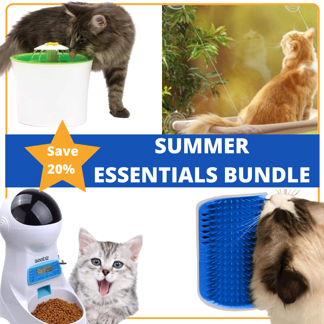 Summer Essentials Bundle | Special Offers