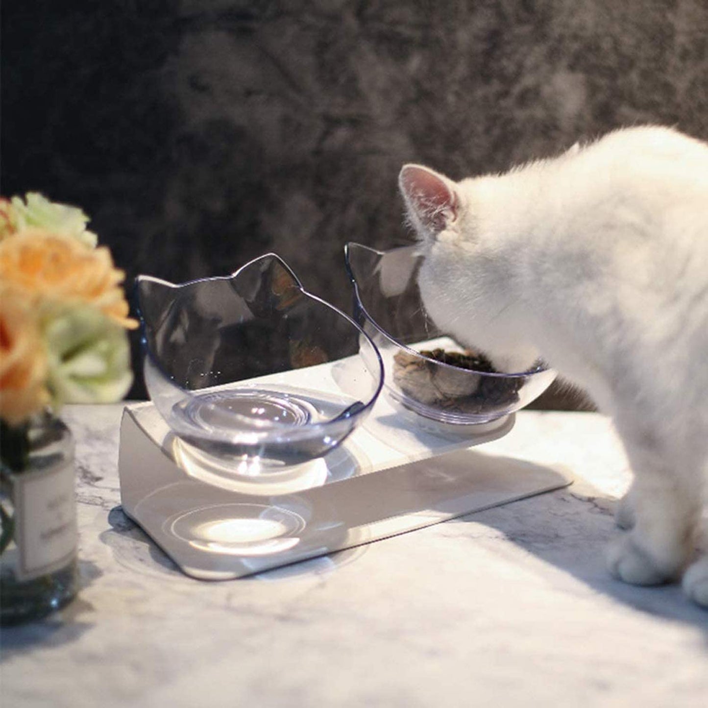 Double Bowl Cat Feeder | Cat Health