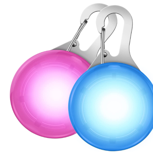 LED Light Cat Collar x 2 | Pet Accessories – Cat Cave Co