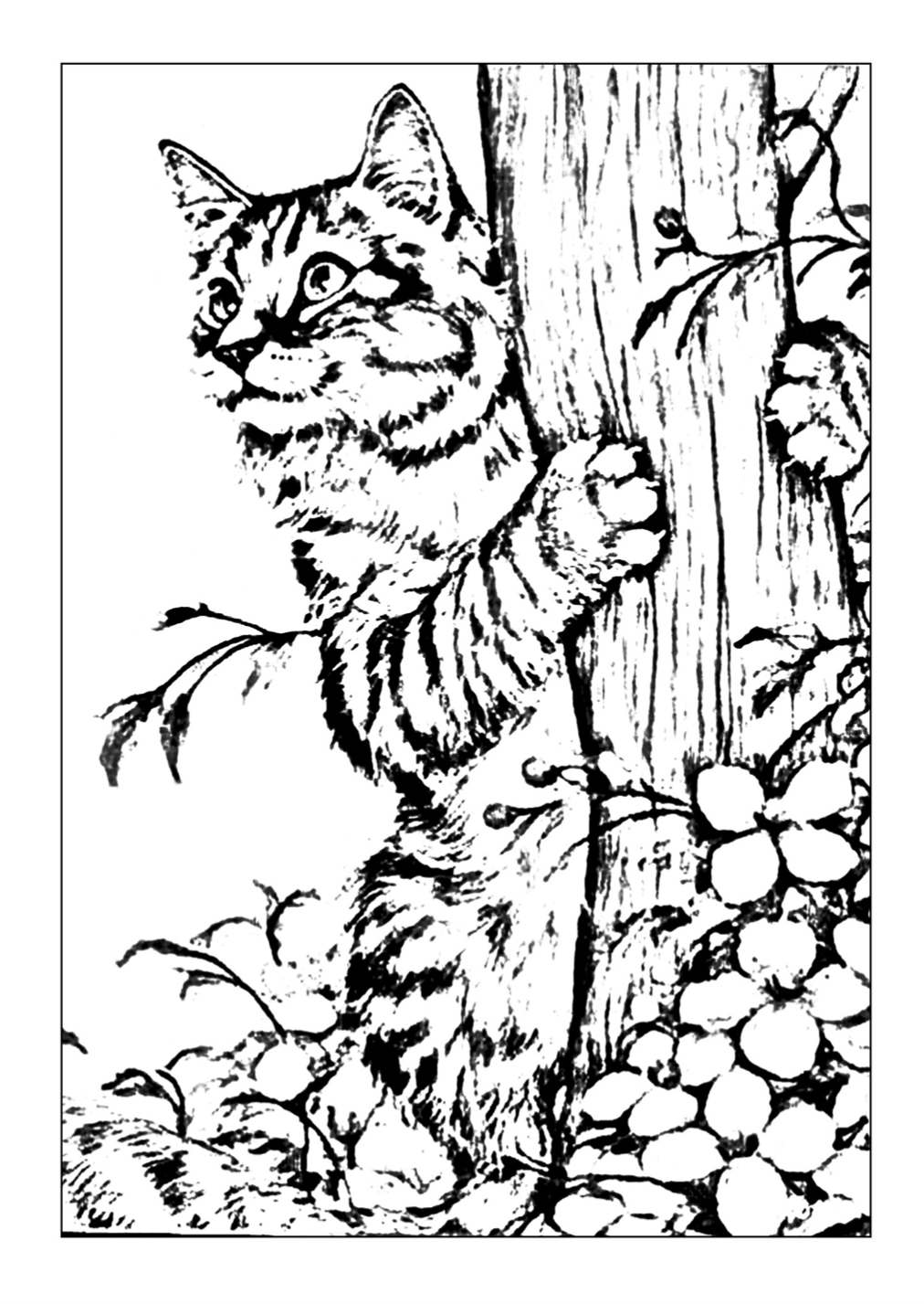 Garden Cat Coloring Page | Free Download