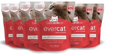 Evercat - OTO 6 Bags