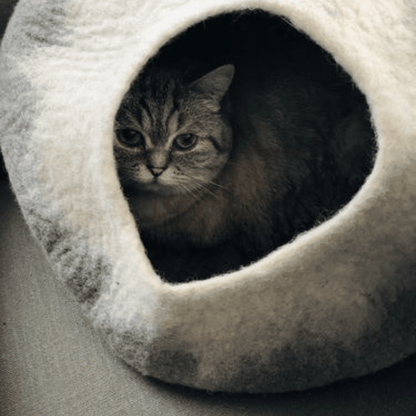 Grey & White Cat Cave
