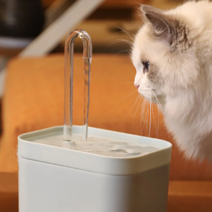 1.5L Cat Water Dispenser