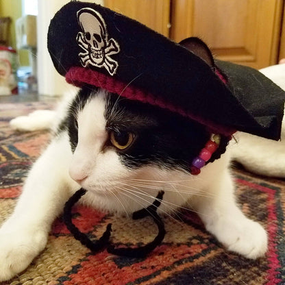 Pirate Hat for Cats & Dogs