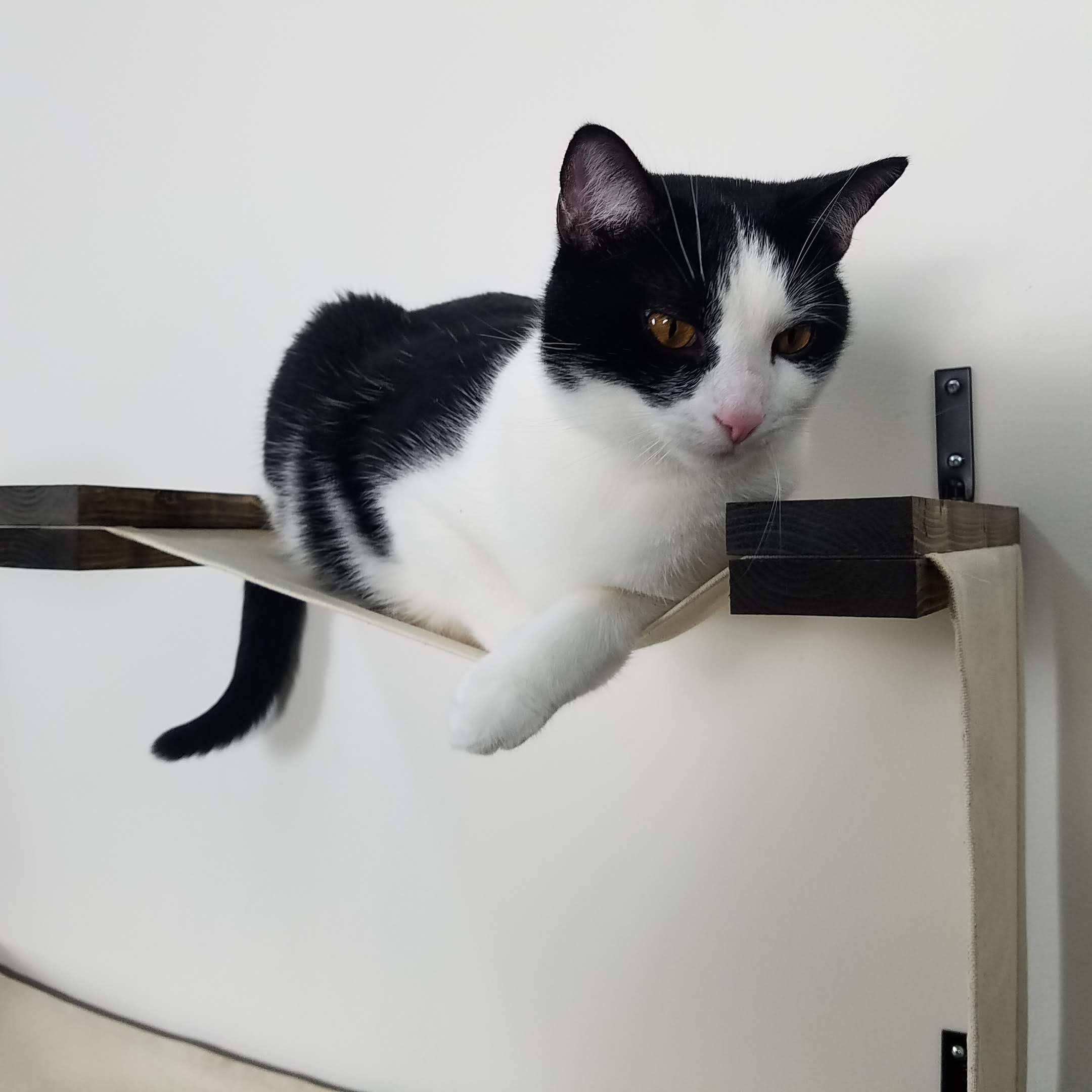 Double decker shop cat hammock