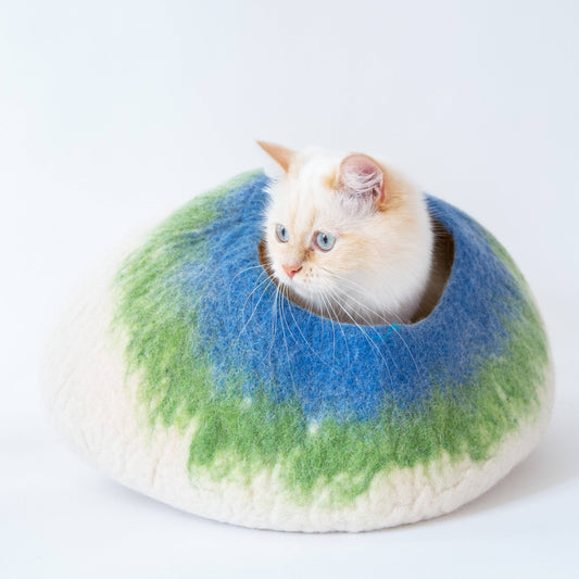 White, Lime & Blue Cat Cave