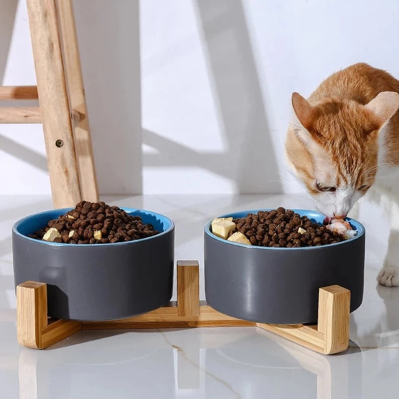 Ceramic cat feeder clearance