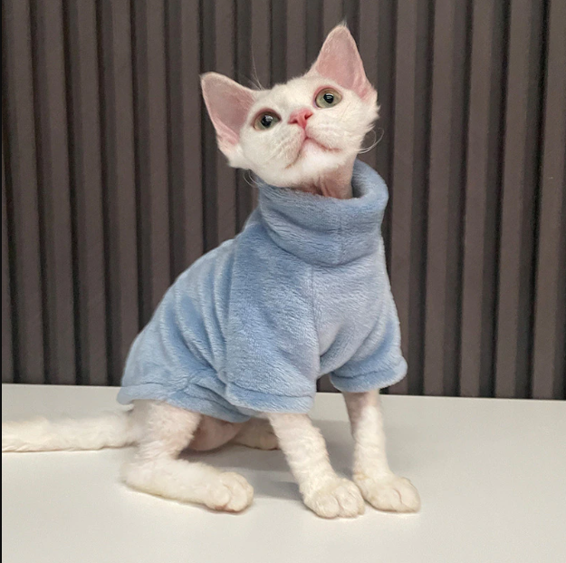 Cat Costume | Sphynx Thick Devon Mink Clothes