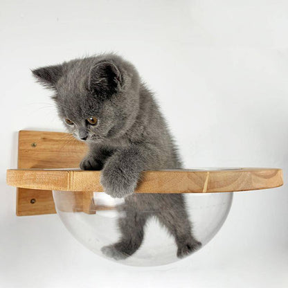 Floating Bubble | Cat Wall Furniture