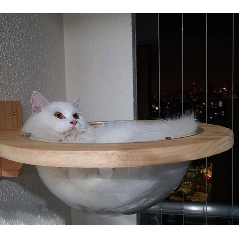 Cat deals bubble bed