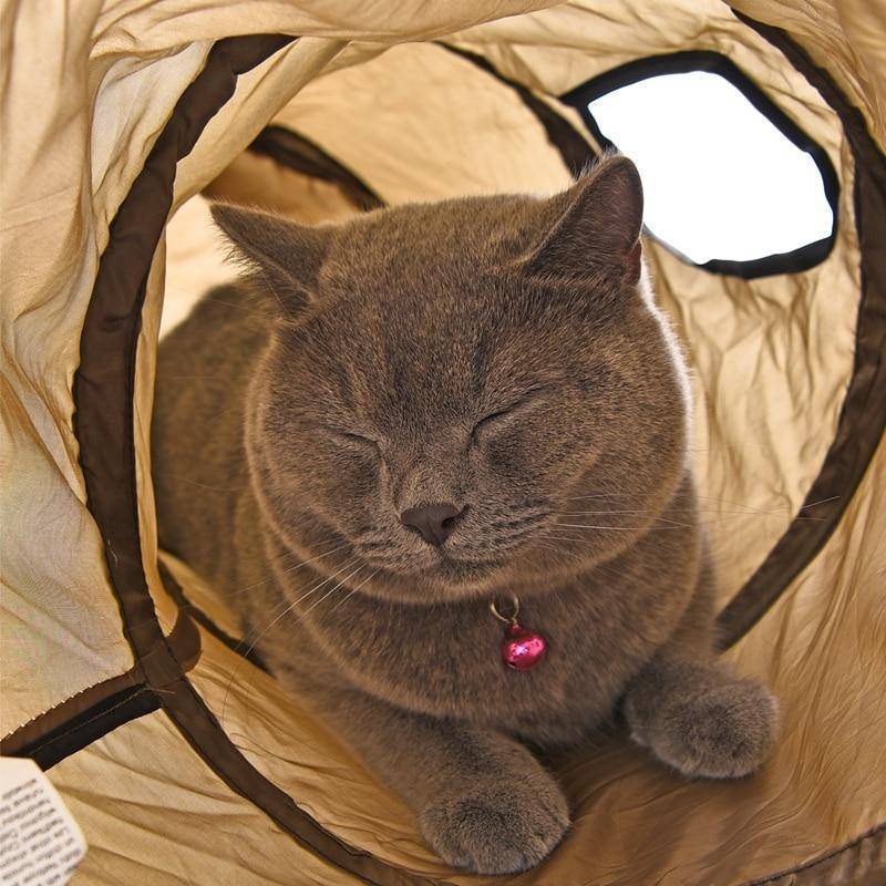 S Shape Cat Tunnel