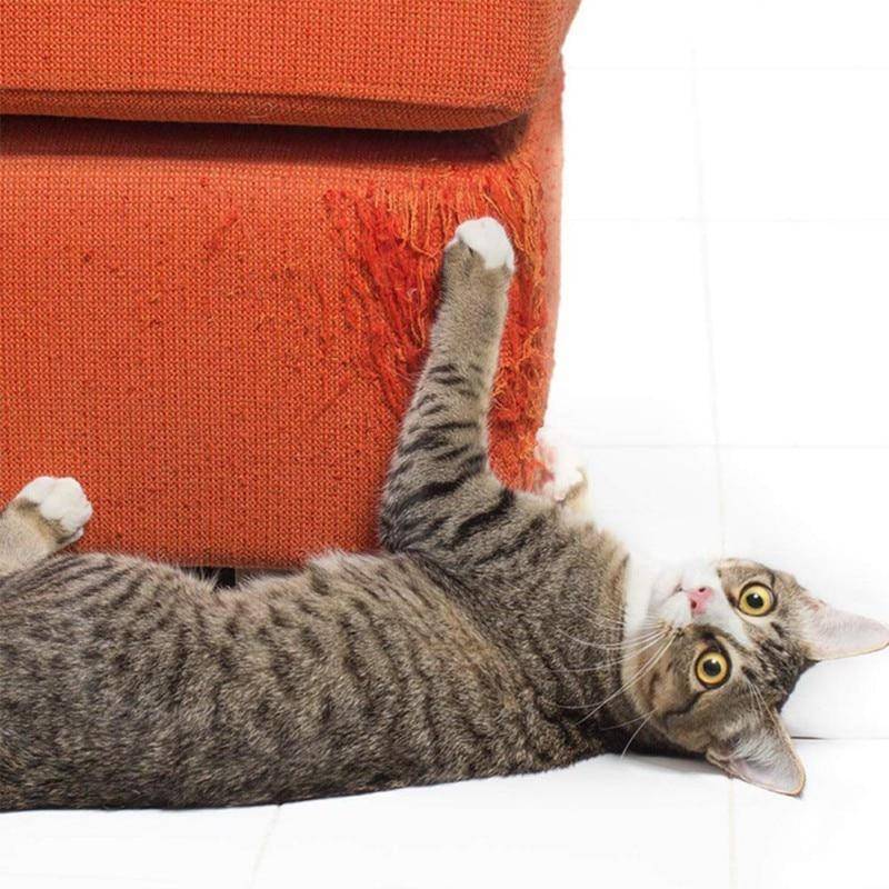 Scratch Guard - Furniture Cat Scratch Protector