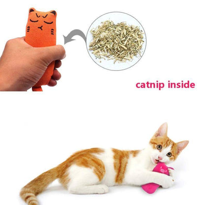 Catnip Pillow Chew Toys | Cat Health