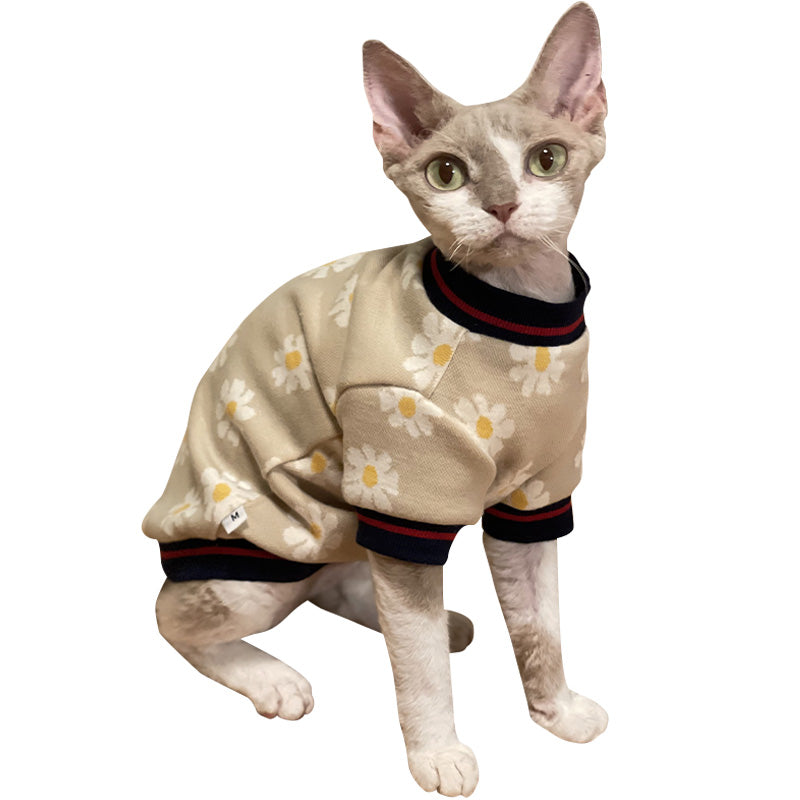 Cat clothing shop near me